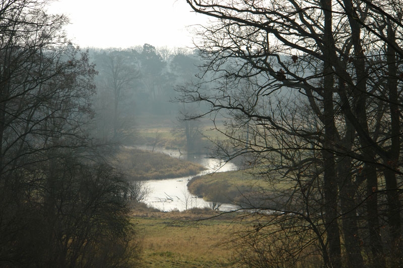 Naturreservat_Poznan_-_Foto_U._Witt